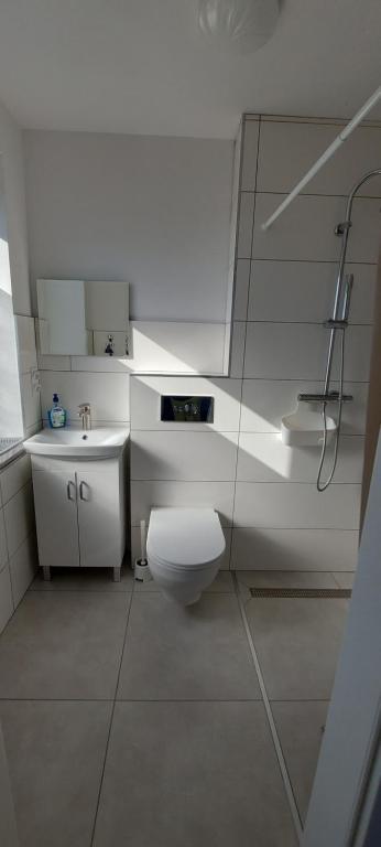 a bathroom with a toilet and a sink at Pod Żurawiem Stegna in Stegna