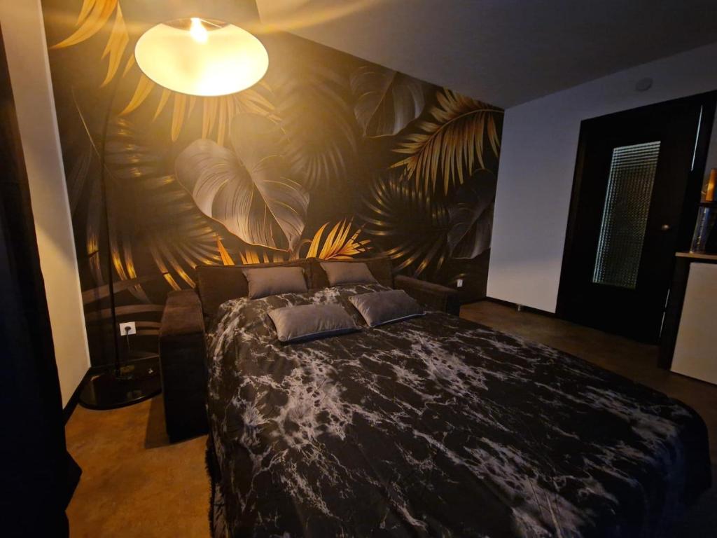 Appartement spacieux MULHOUSE – photo 2