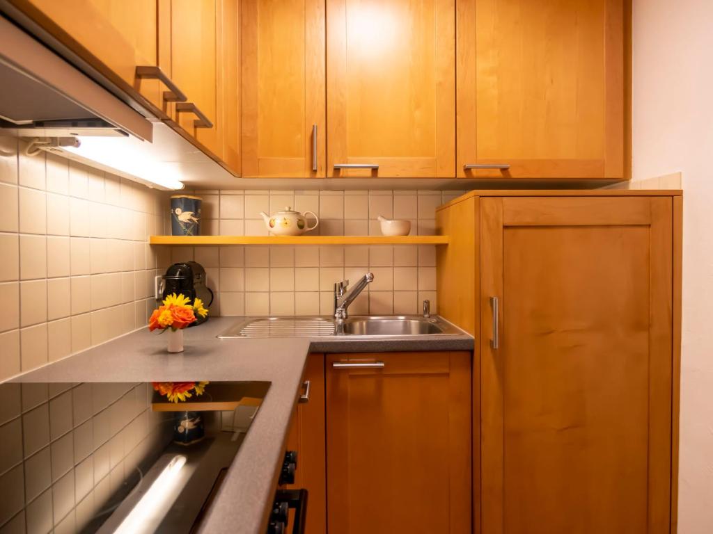 Kuchyň nebo kuchyňský kout v ubytování Apartment Baudrier A04 by Interhome