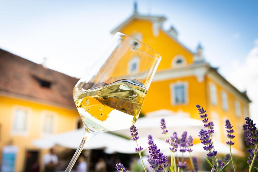 Joogid majutusasutuses Schloss Gamlitz