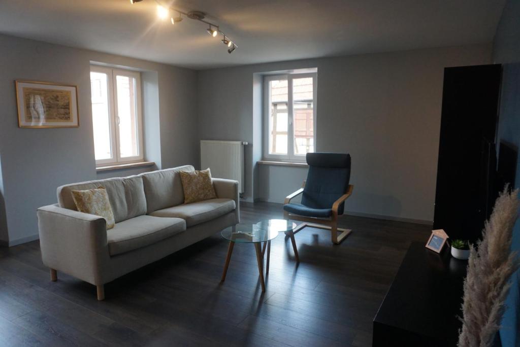 Posezení v ubytování L'Aubach - appartement spacieux - au pied du vignoble - parking gratuit