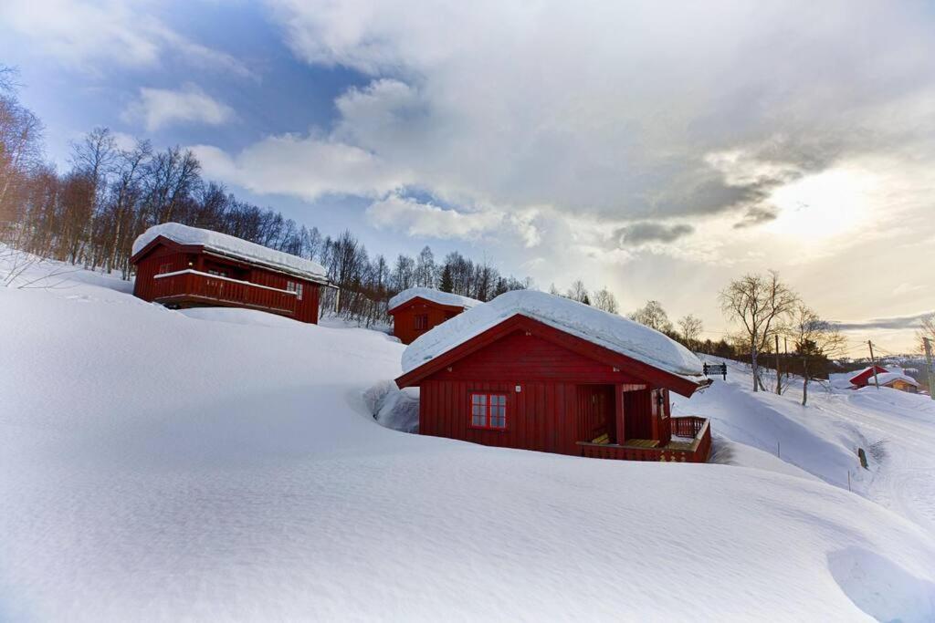 Fin hytte i nydelige omgivelser žiemą