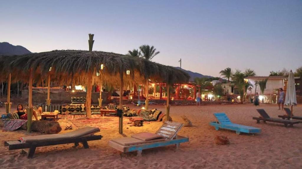 una spiaggia con ombrellone, sedie e tavoli di paglia di Mermaid camp a Nuweiba