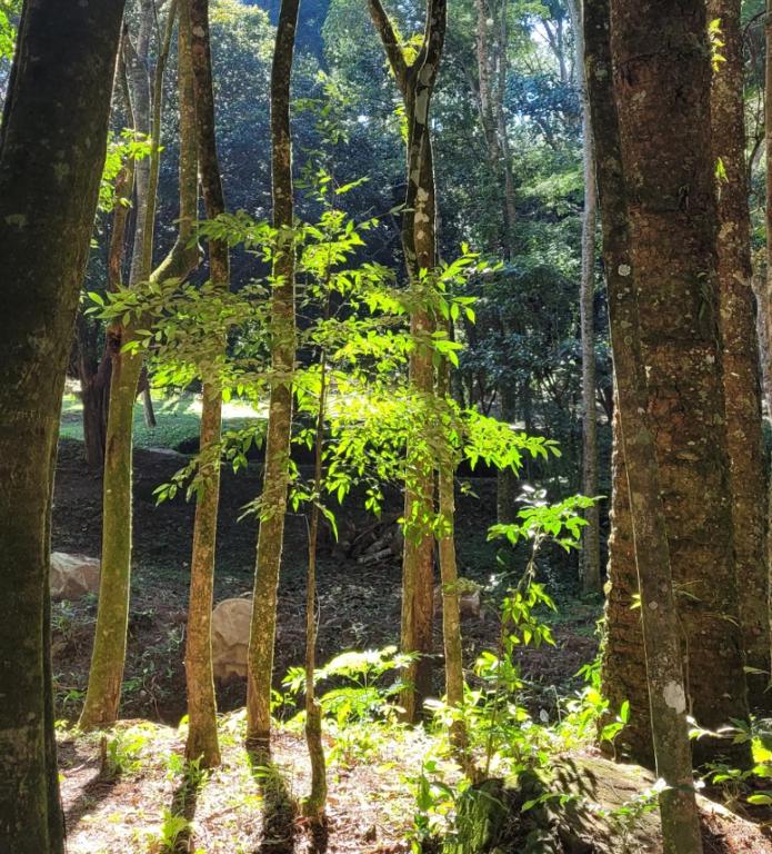 Cachoeira da Gomeira Hospedaria Camping
