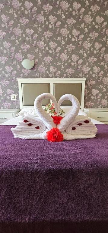 Hotel Olimp - Resim 9