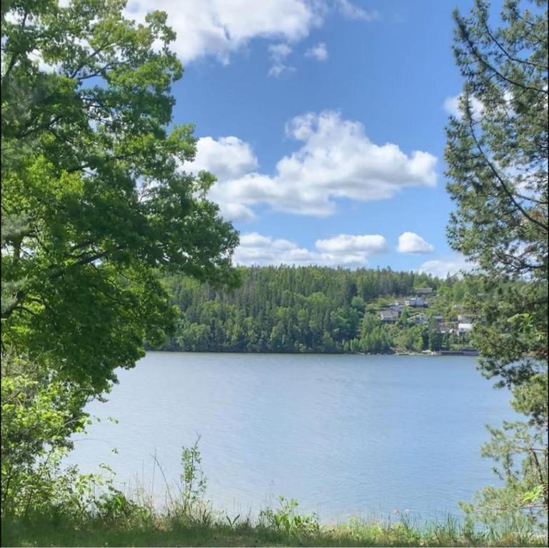 a view of a lake from between two trees at Sjöutsikt in Södertälje