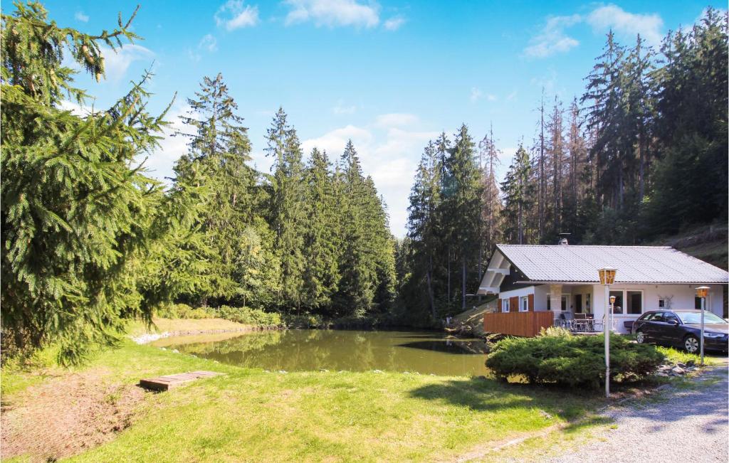 a house with a pond in front of a forest at Stunning Home In Nahetal-waldau With Sauna in Hinternah