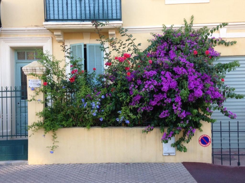 une fenêtre remplie de fleurs devant un bâtiment dans l'établissement La Maison au Soleil, à Menton