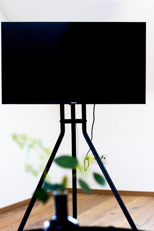 TV a/nebo společenská místnost v ubytování Elmi 33