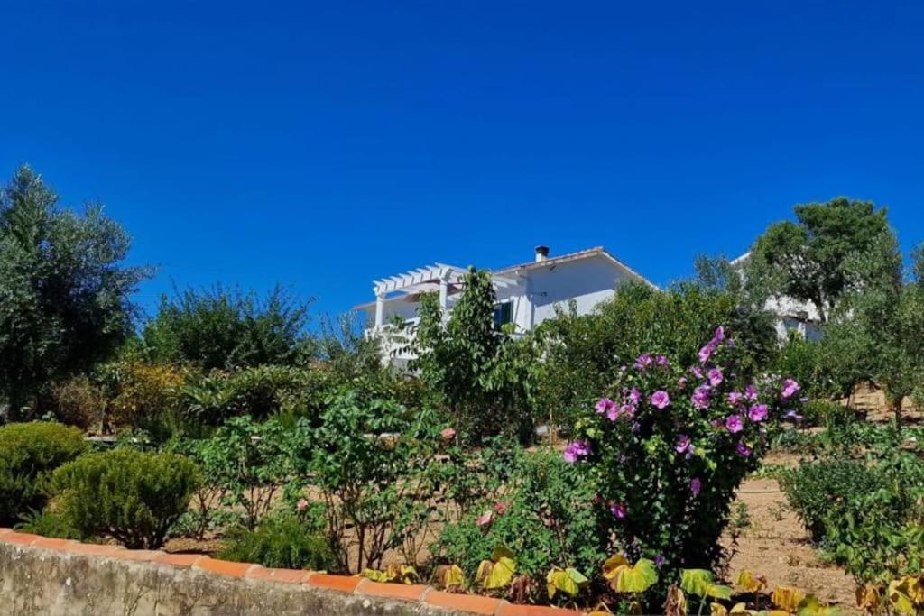 a garden with flowers in front of a house at Refugio Abrunheiro Grande in Vila de Rei