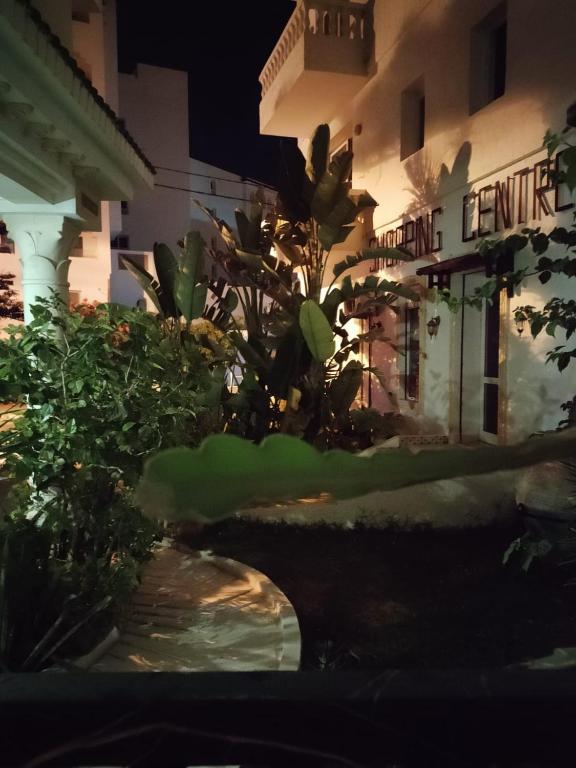Zahrada ubytování Hôtel Romane