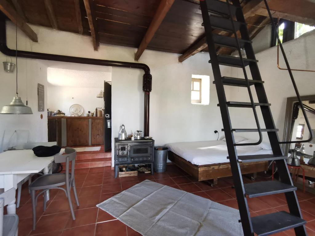 Cette chambre comprend un lit et une échelle. dans l'établissement Dendrocopos Medius, à Arnaia