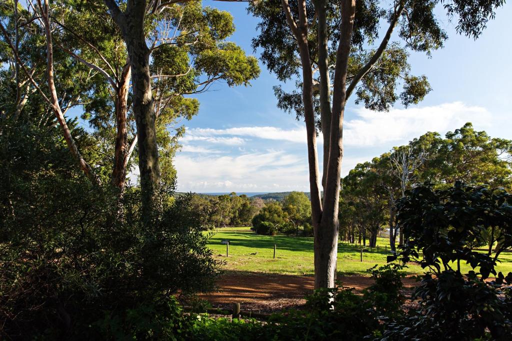 a group of trees in a park with a field at Wildwood Valley in Yallingup
