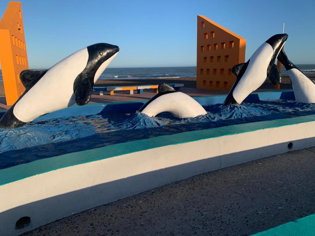 grupa trzech delfinów w basenie w obiekcie PataGo! Sea&Sand w mieście Playa Unión