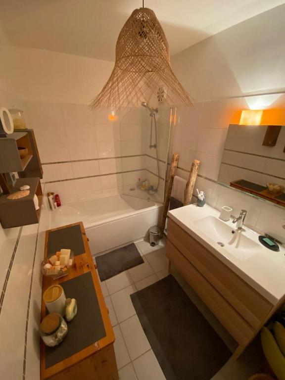 Koupelna v ubytování Appartement lumineux 70 m2 proche centre