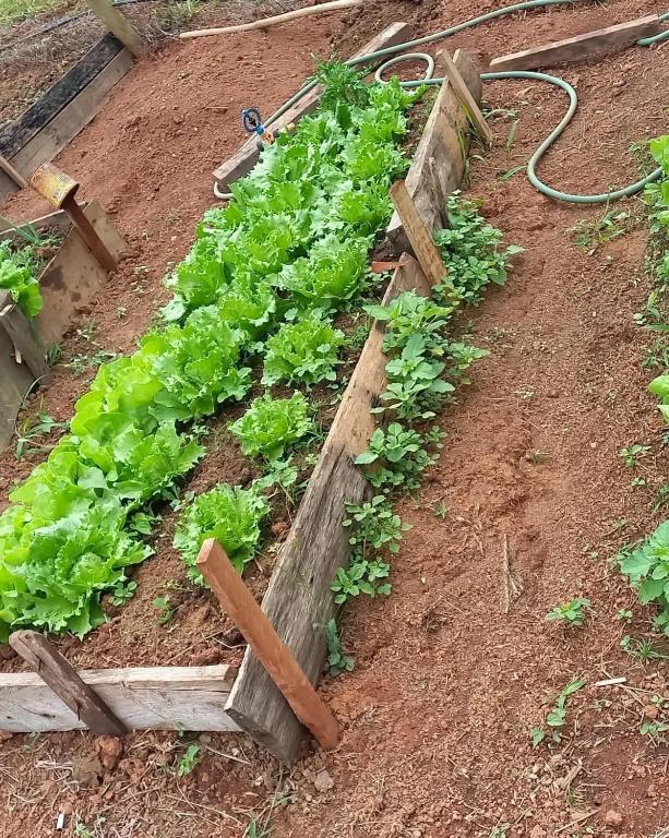 Pousada Recanto das Hortênsias