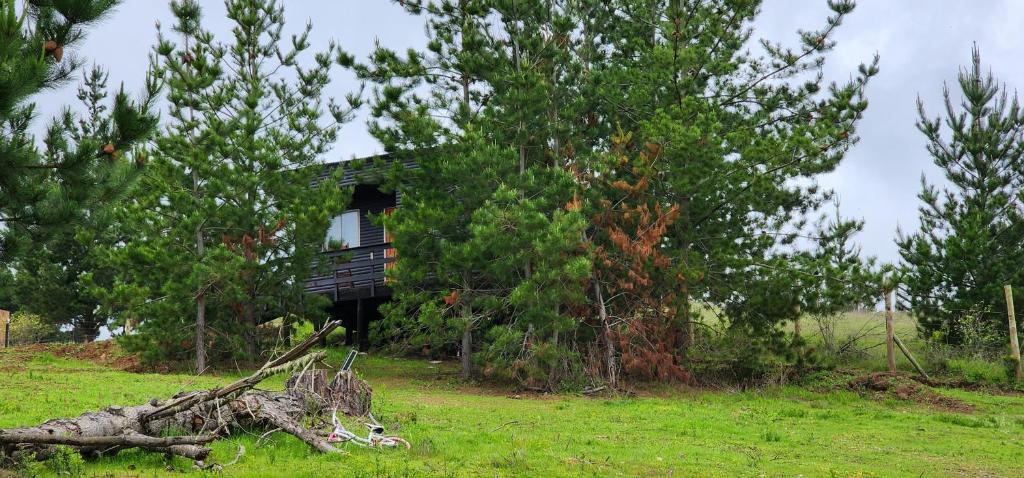 a tree house sitting in the middle of a field at Ecobosque y cabañas in Paredones