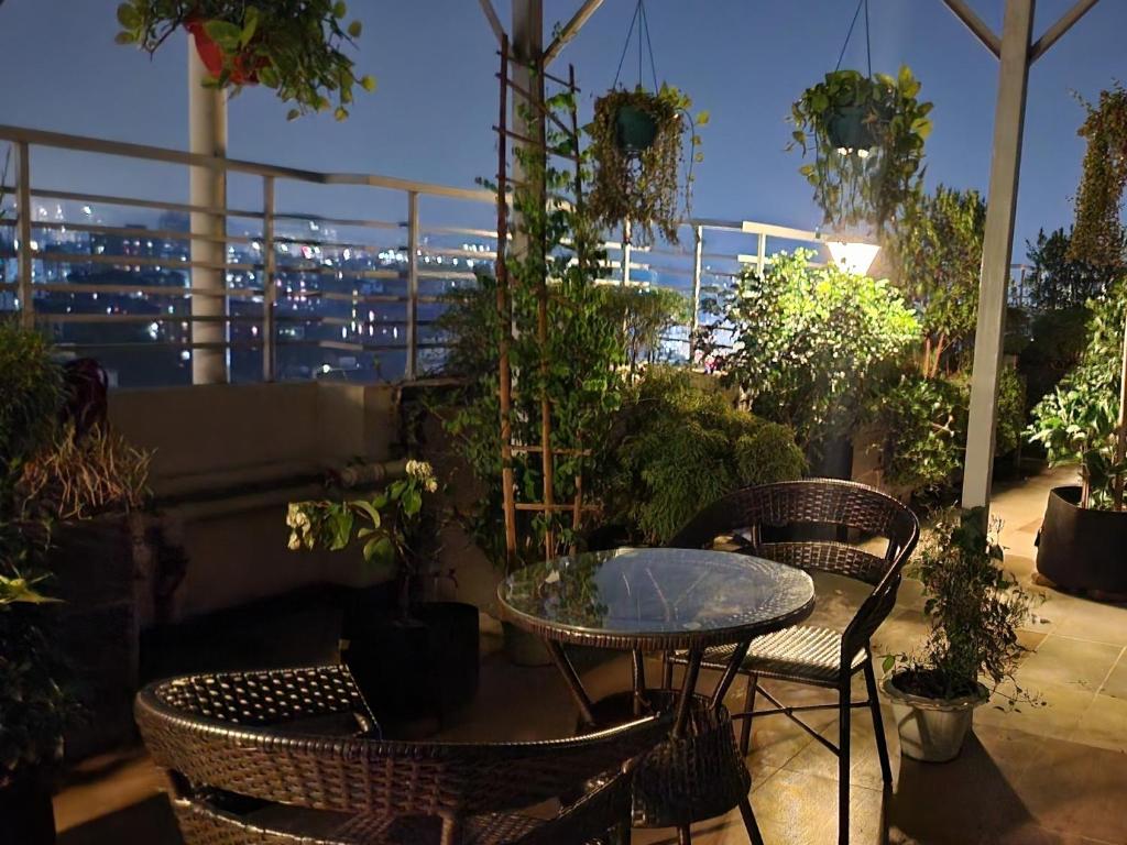 Urban Oasis: Scenic Rooftop Garden Beauty
