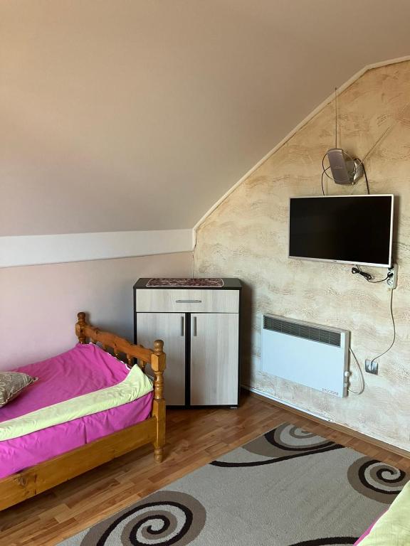 una camera da letto con un letto e una TV a schermo piatto di Apartmani Rada a Zlatibor