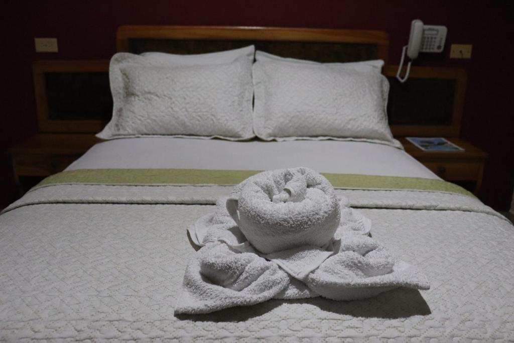 Postel nebo postele na pokoji v ubytování Hotel Residencial Panamericano