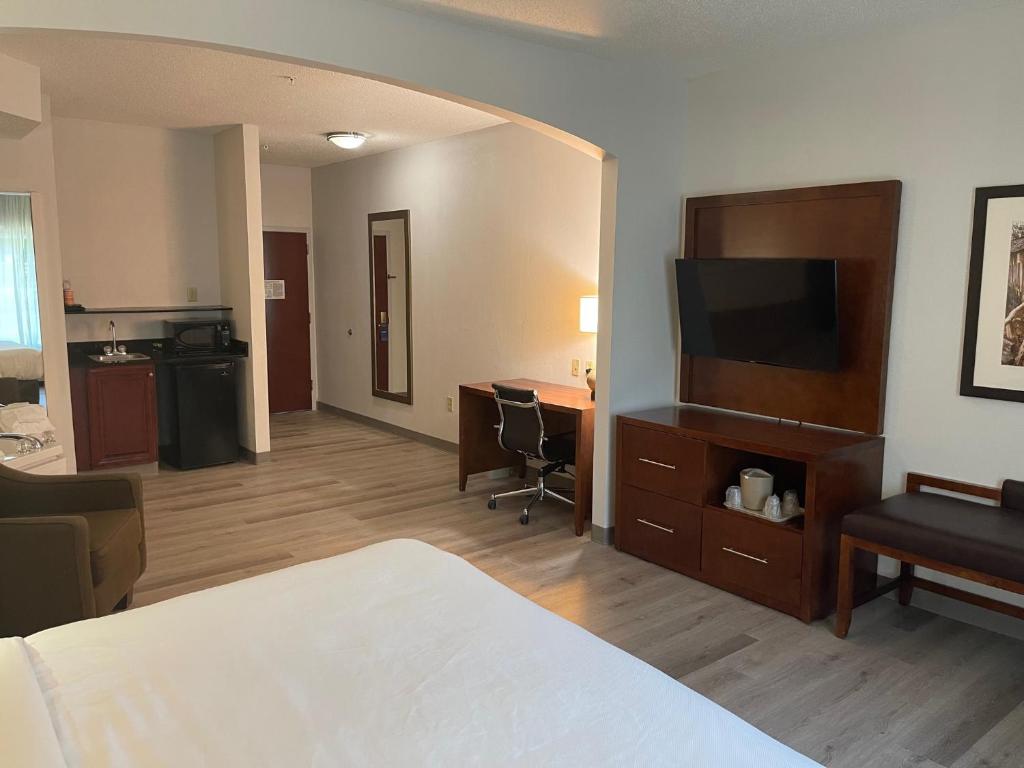 Comfort Suites Salisbury I-85 - キングスイート ジェットバス付 禁煙