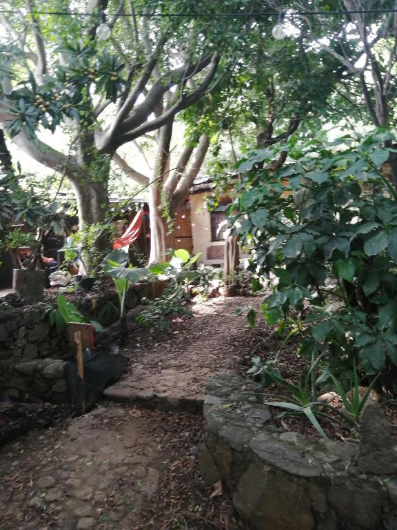 Ixtepec