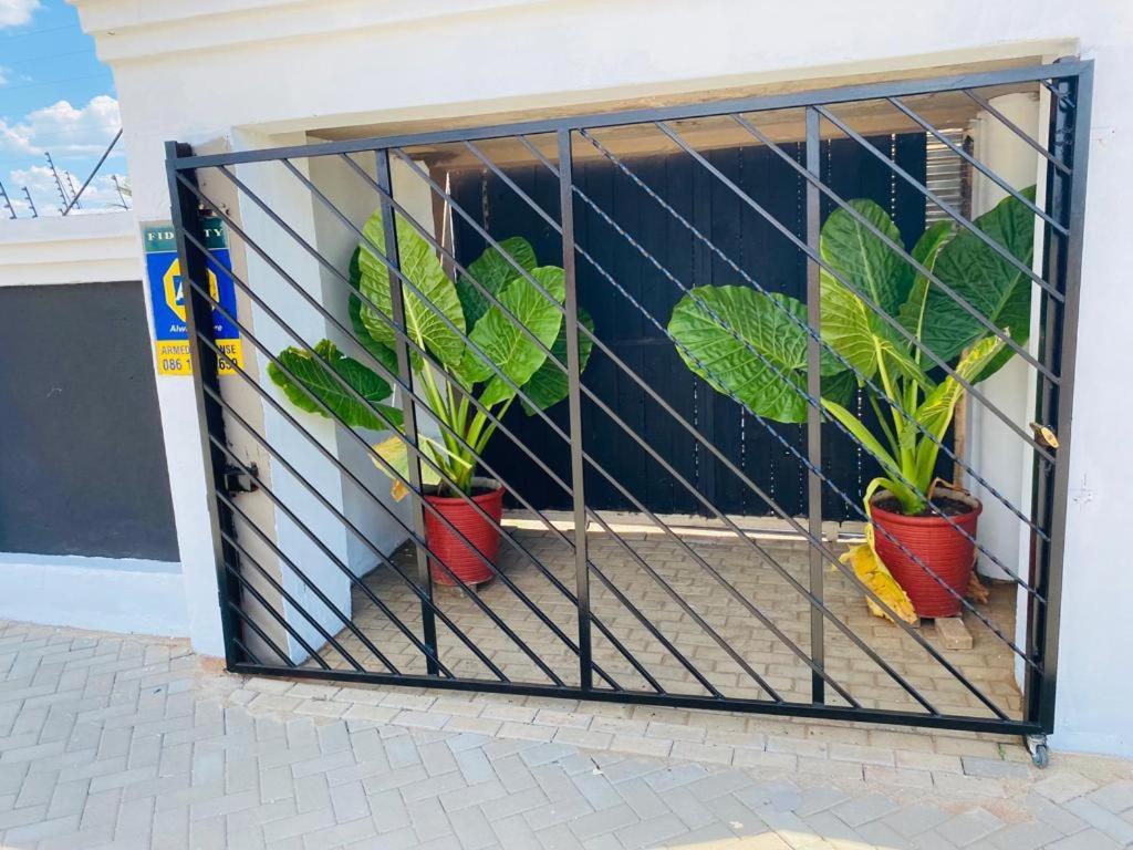 Фото Little Havana