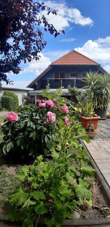 a garden with pink flowers in front of a house at Ferienwohnung Relax in Ilsenburg