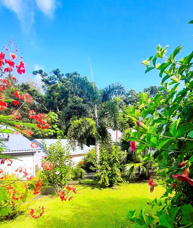 Giardino di Caraïbes Cottages Corail piscine privée a 900m de la plage de Grande Anse