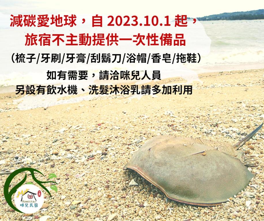 a dead turtle on the shore of a beach at Mir Homestay in Lieyu