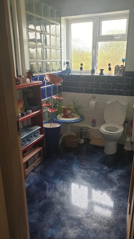 a bathroom with a toilet in a room with blue carpet at Cedar Top in Manston