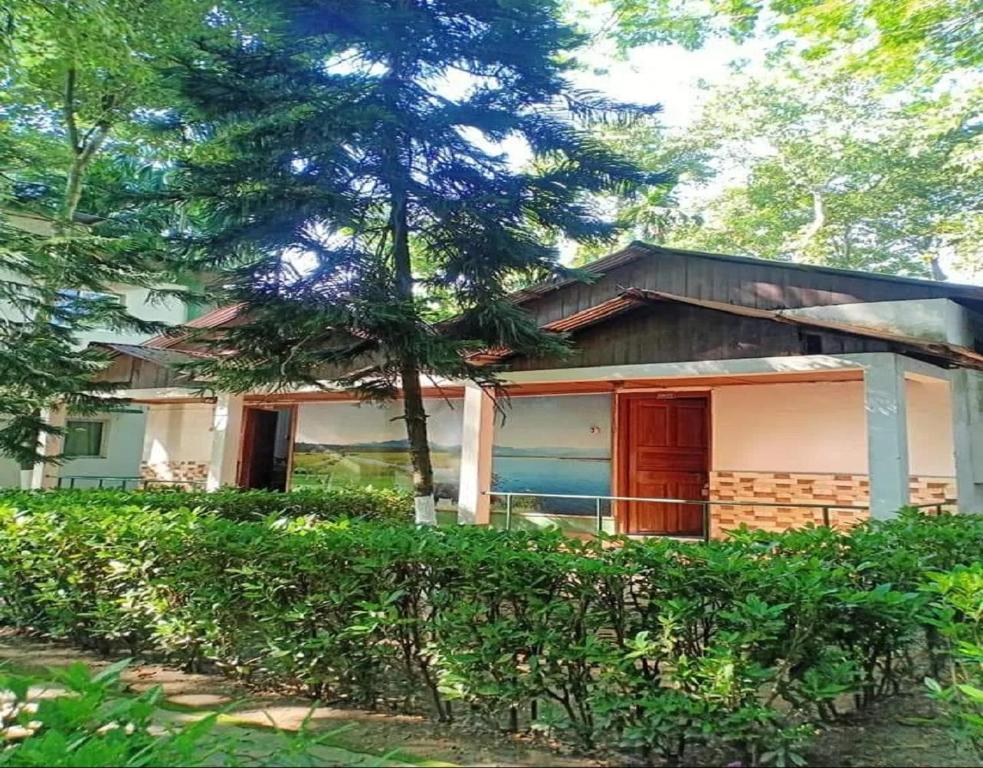 a house with a tree in front of it at Jaldapara Jungle Camp I Family Resort by StayApart in Mādāri Hāt