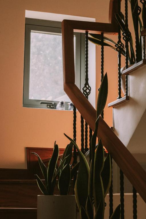 Fotografie z fotogalerie ubytování Hotel Du Ciel v destinaci Da Lat