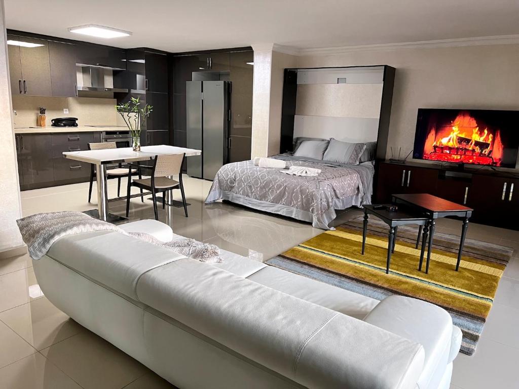 a living room with a couch and a bed and a fireplace at NEW Seaview Bachelor Apartment Privacy + Closets in Mudanya