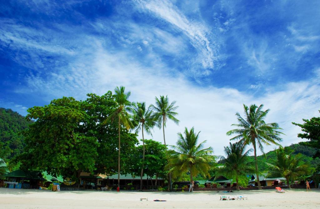 a group of palm trees on a beach at Dreamland Resort in Thong Nai Pan Yai