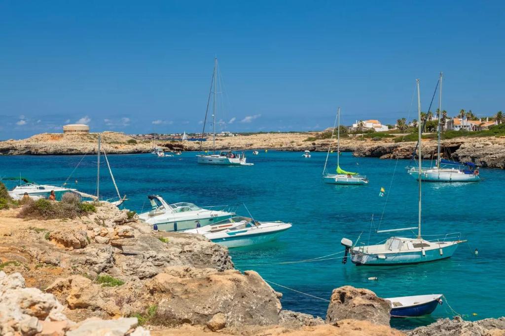 Naturlandskabet i nærheden af lejligheden