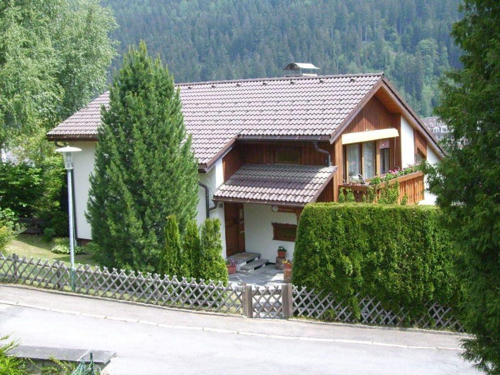 a house in the mountains with a tree at Haus-Becker-Schmidt-St-Blasien in St. Blasien
