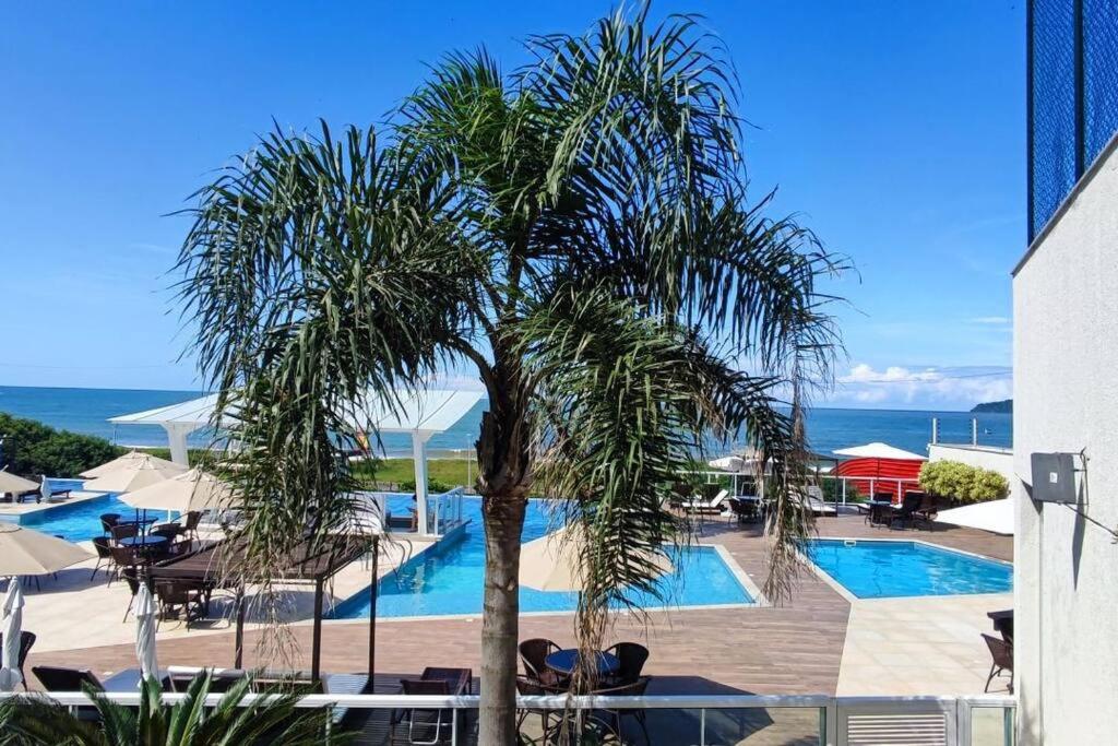 a palm tree in front of a swimming pool at Baln Piçarras-Bally Beach Club Beira Mar in Piçarras