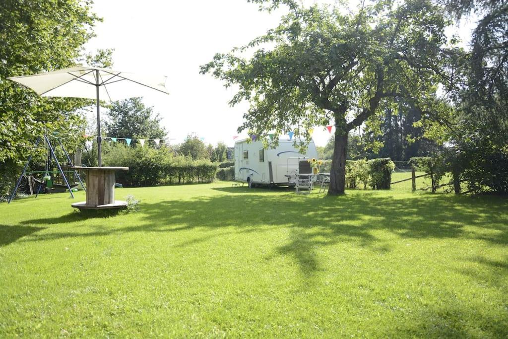 een park met een boom en een paraplu in het gras bij insolite: la p'tite maison à roulettes in Jalhay
