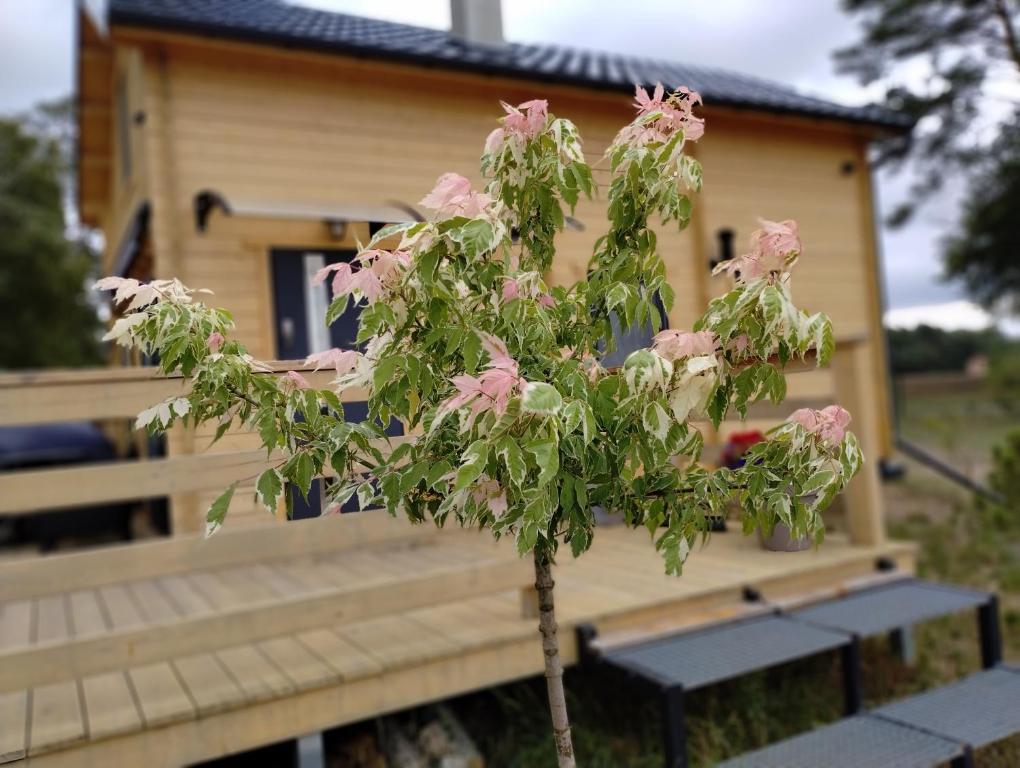 Vonkajšia záhrada v ubytovaní Domek Na Winklu