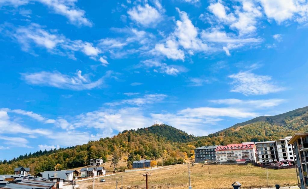 Příroda nedaleko apartmánu