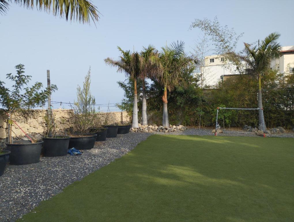 Las palmeras - One-Bedroom Apartment