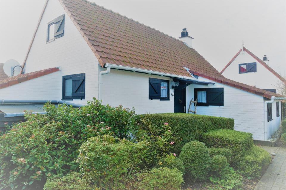 une maison blanche avec un toit rouge et quelques buissons dans l'établissement Zeewind I 46, à Bredene