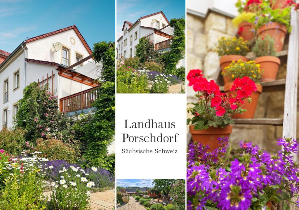 Landhaus Porschdorf في Porschdorf: مجموعة من الصور مع الزهور والمنزل
