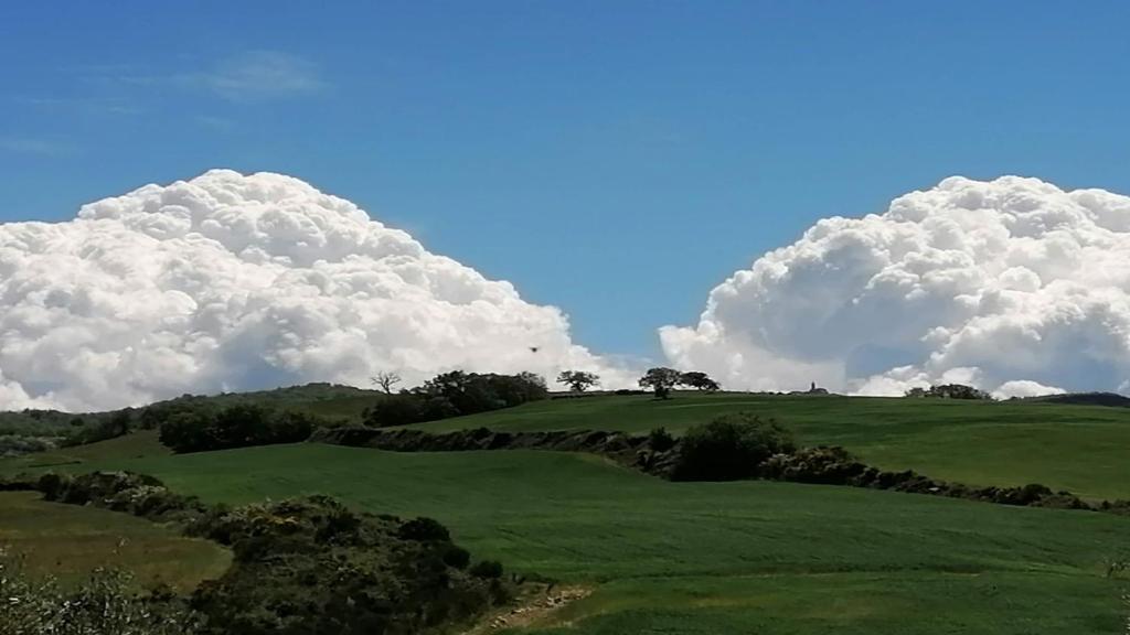 duża biała chmura nad zielonym polem w obiekcie VECCHIO CASALE QUERCETINO - ANDRONE w mieście Montenero