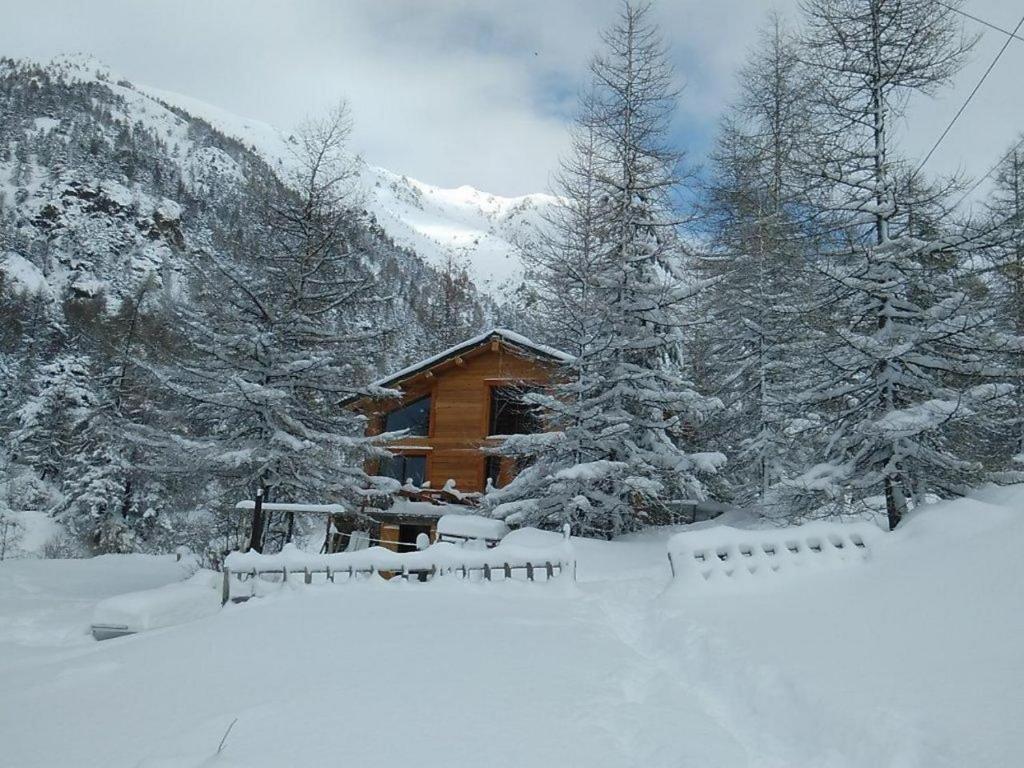 a log cabin in the snow with trees at Gte T3 Le Balarino - Mercantour1 in Belvédère