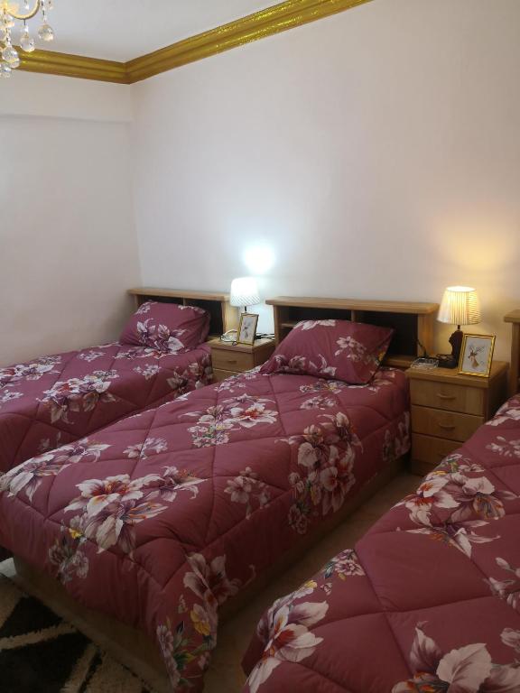 Postel nebo postele na pokoji v ubytování White tulips apartment الزنبقة البيضاء