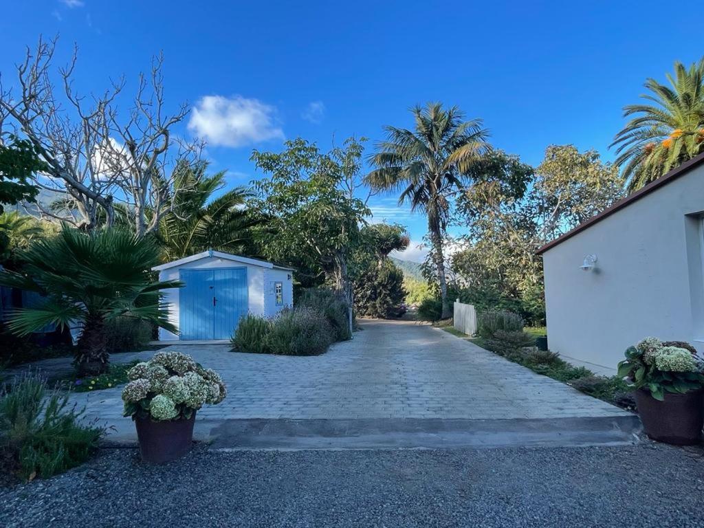 una entrada que conduce a una casa con palmeras en Casas La Principal, en San Pedro