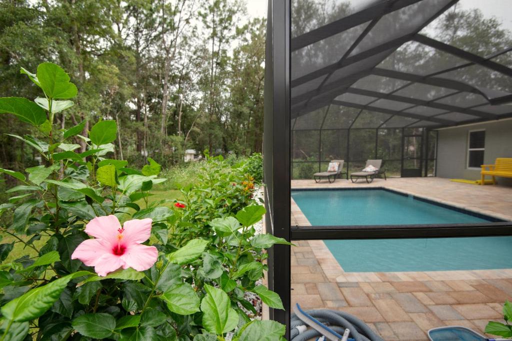 鄧內倫的住宿－Pet-friendly, Heated Pool, Close to Everything 3 Bedroom Home，一个带游泳池和粉红色花的花园