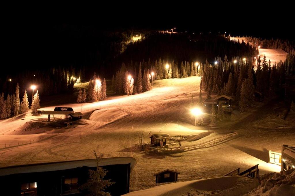 a snow covered ski slope at night with lights at Kvitfjell Alpinhytter Kvitfjellvegen 492 in Kvitfjell